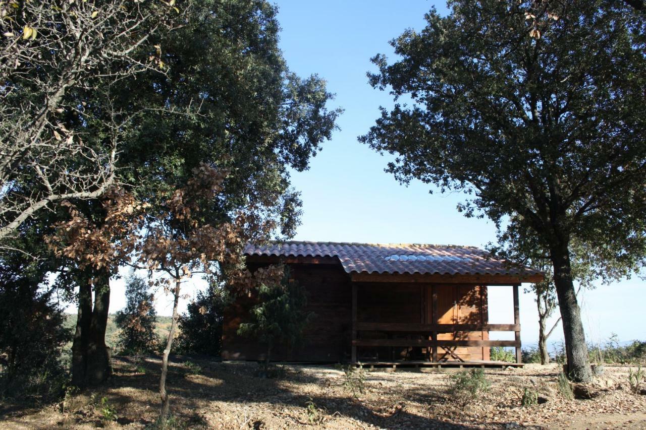 Les Chalets En Cevennes Saint-Christol-les-Ales Exterior photo